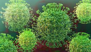 corona virus